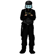 riot police